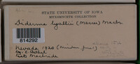 Image Associated With the Occurence